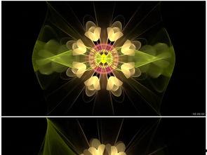 歌伴舞视频大全舞蹈表演,歌伴舞视频大全舞蹈表演集锦